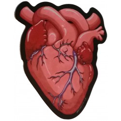 Sticker - Anatomical Heart